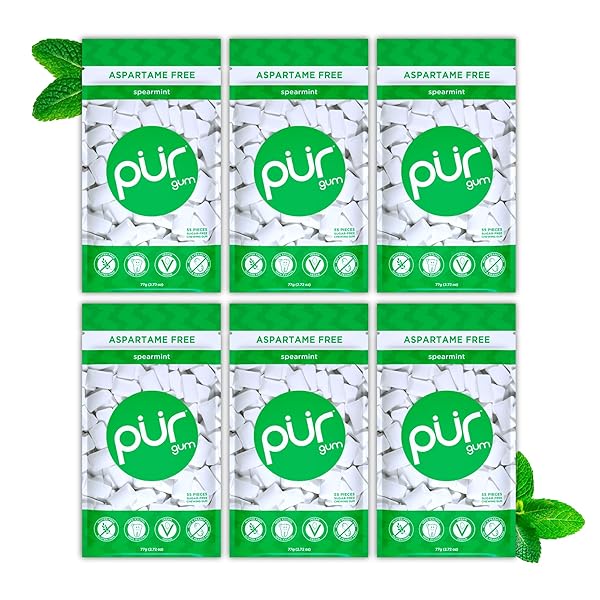 PUR GUM | ASPARTAME FREE CHEWING GUM | 100% XYLITOL | NATURAL SPEARMINT FLAVORED GUM, 55 PIECES (PACK OF 6)