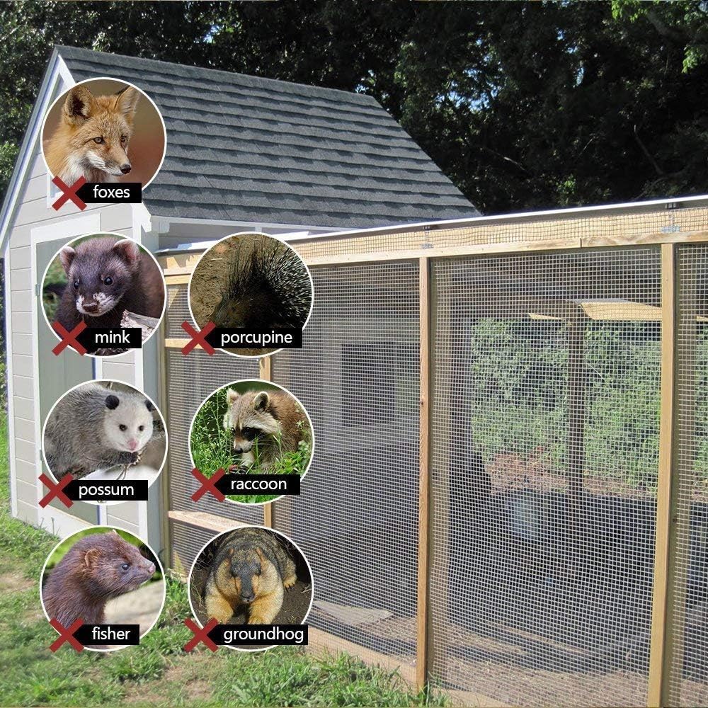 Amagabeli 36inx50ft 1/2 in 19Gauge Hardware Cloth Galvanized After Welded Cage Mesh Rolls Square Chicken Wire Netting Raised Garden Rabbit Fence Snake Fencing Rodent Animals Weasel Moles Raccoons : Garden & Outdoor