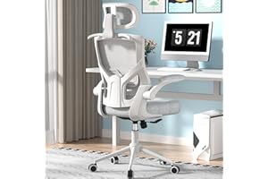 FOKESUN Ergonomic Office Chair, High Back Mesh Desk Chair with Thick Molded Foam Cushion, Coat Hanger, Adjustable Headrest, L