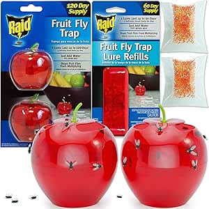 Raid Fruit Fly Trap (2 Pack Bundle) | 2 Lures + 2 Refills | Effective Fly Trap for Indoor Use | Fly Catcher and Gnat Trap for Kitchen &amp; Dining Areas | Easy to Use &amp; Safe Food-Based Lure Fly Catcher