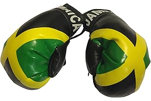 FNG MINI BOXING GLOVES Flag Mini Small Boxing Gloves to Hang Over Car Automobile Mirror - Americas