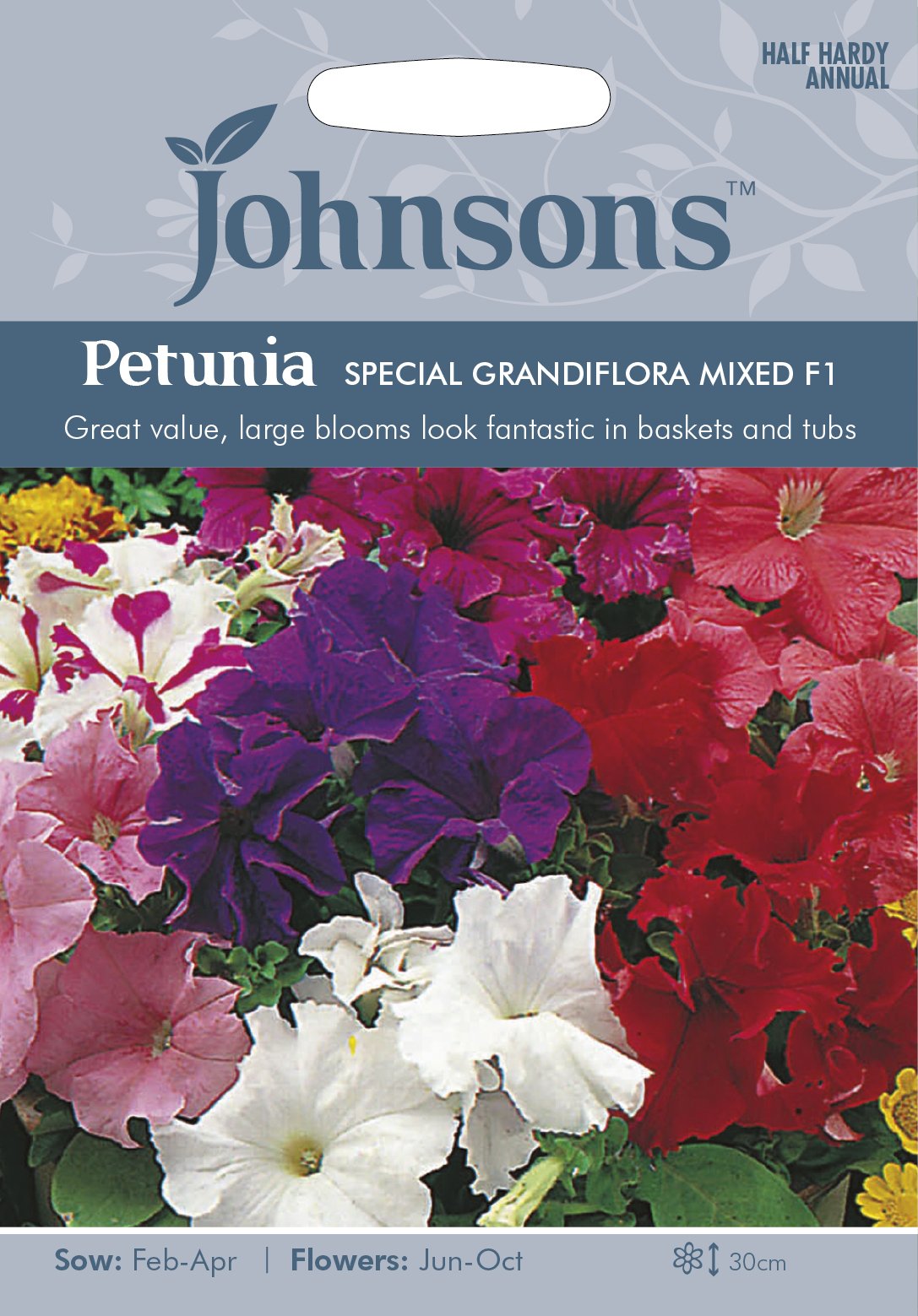 Johnsons 20977 Flower Seeds, Petunia Special Grandiflora Mixed F1