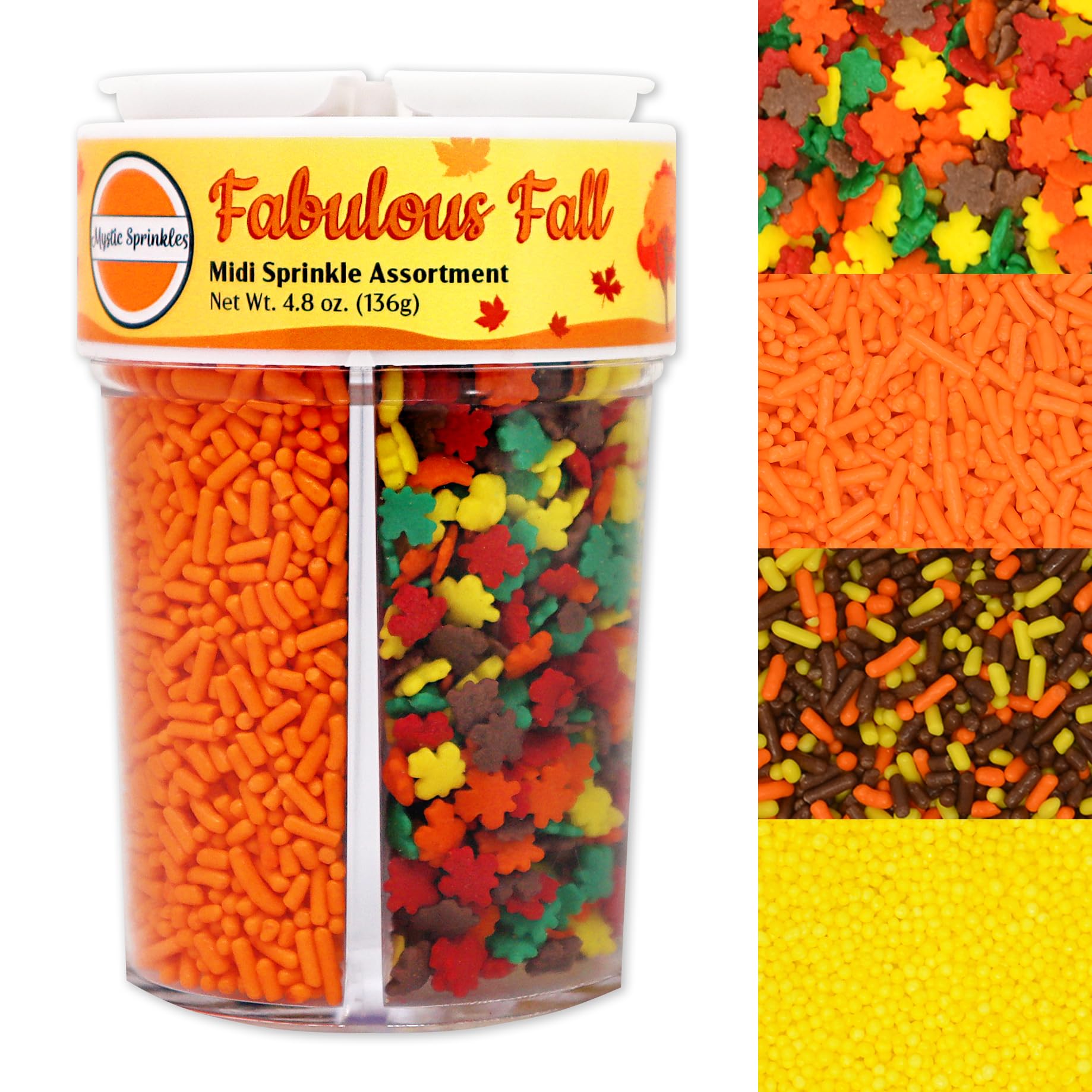 Mystic Sprinkles 4 Cell Sprinkle Assortments
