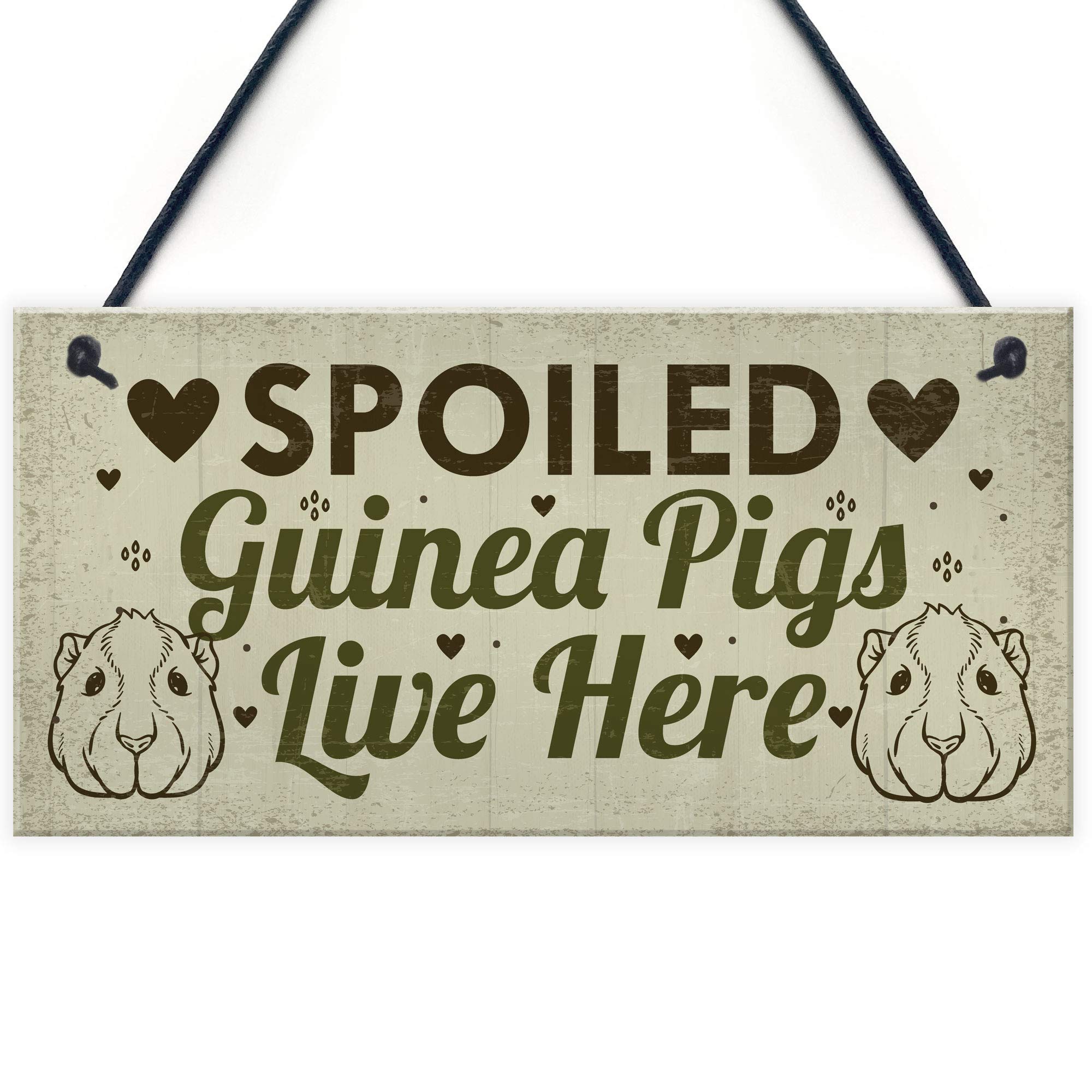 Red Ocean Spoiled Guinea Pigs Live Here Hanging Plaque Beautiful Handmade Gift Sign For Guinea Pig Owners Friendshiip Gift