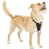 Kurgo Enhanced Strength Tru-Fit Smart Harness, Black, Extra Small | Crash Tested Car Harness for Dogs up to 75Lbs, Seatbelt Tether &amp; Steel Carabiner, All-Steel Buckles, Padded Chest for Comfort