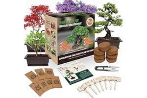 MAFOIRAY Bonsai Tree Kits, Bonsai Starter Kits with Bonsai Pots, Tools, Bonsai Tree Live, 7 Kinds of Bonsai Tree Seeds, Soil, Trays, Grow Bonsai in Indoor, Beginners Kits Garden Plant Kits Gifts for Men Women