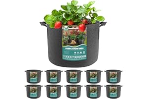 HYDGOOHO Plant Grow Bags 3 Gallons-10 Pack Multi-Purpose Nonwoven Fabric Pots with Durable Handles,Outdoor Garden Plant Pots for Vegetables Fruits Flowers Herb Succulent Bonsai Plants (Black)