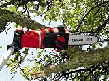 Einhell 18V Power X-Change Cordless 2-in-1 Hedge Trimmer Chainsaw GE-HC 18 Li T view 8