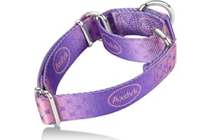Axdvk Martingale Dog Collar Colorful Gradient Fashionable - Anti-Escape Soft Durable Pets Collar for Walking Training Outdoor Daily Use -Large, Lilac Mist