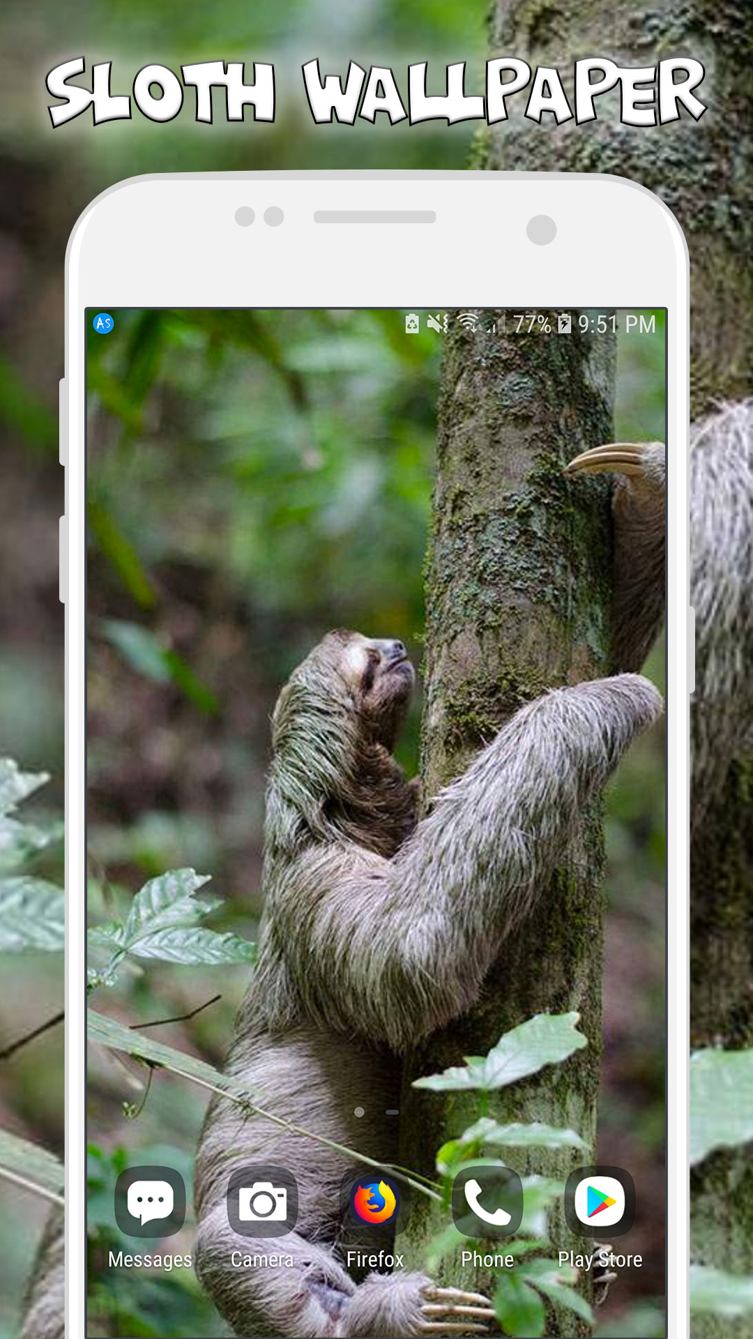 Funny Sloth Wallpaper - Cute Sloth Wallpapers For Girls And Sloth Backgrounds
