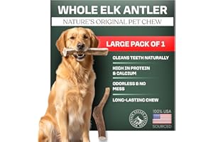 MOUNTAIN VALLEY ANTLERS Mountain Valley Elk Antlers for Dogs - 100% Natural & Organic Chew for Aggressive Chewers, No Odor, No Mess, Long Lasting - Wild-Foraged Naturally Shed Antlers in USA - Grade A, Whole Large (1 Pack)