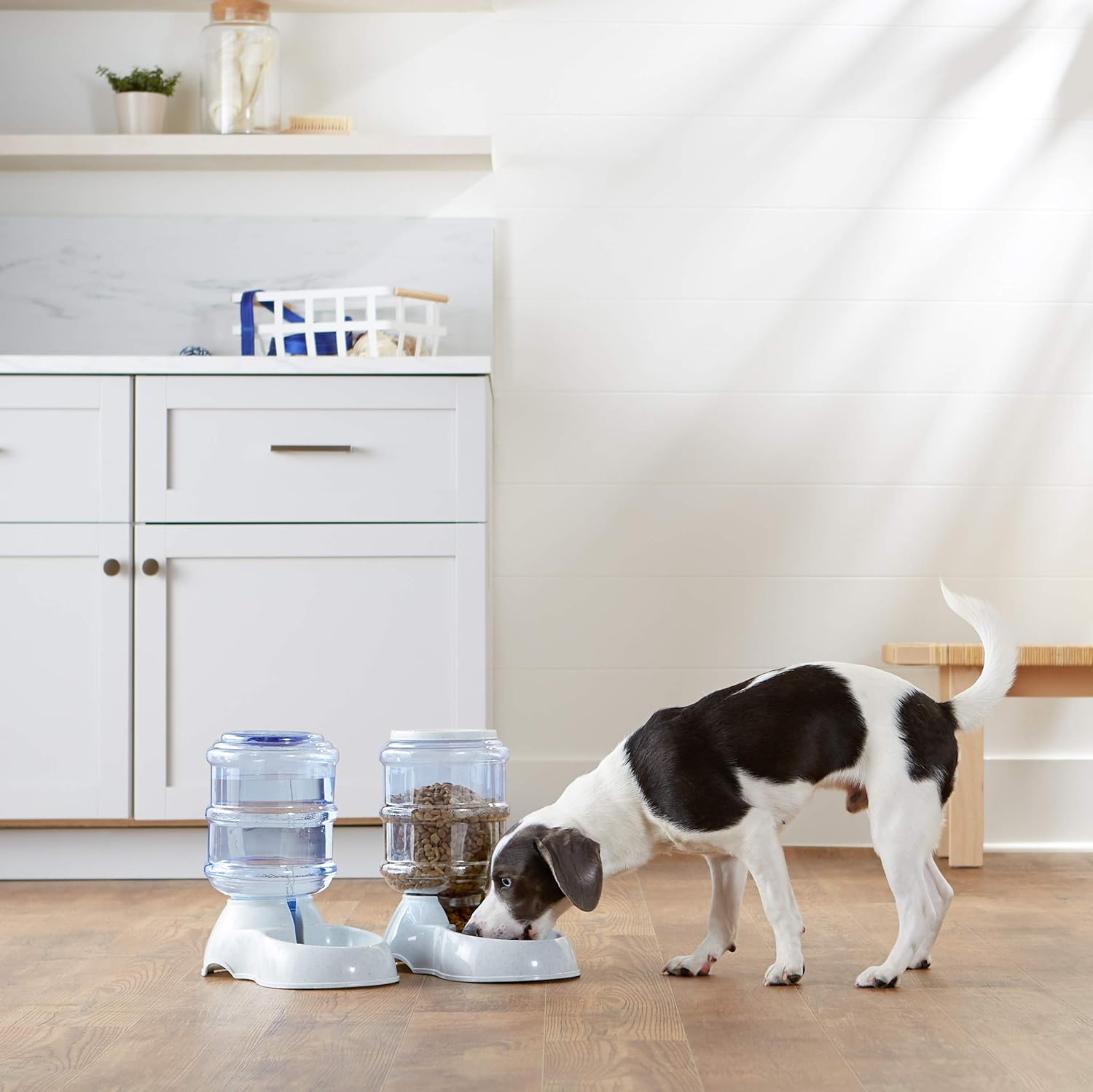 Pet Supplies : Basics Gravity Pet Food Feeder and Water Dispenser Bundle, Small (1-Gallon Capacity) : 
