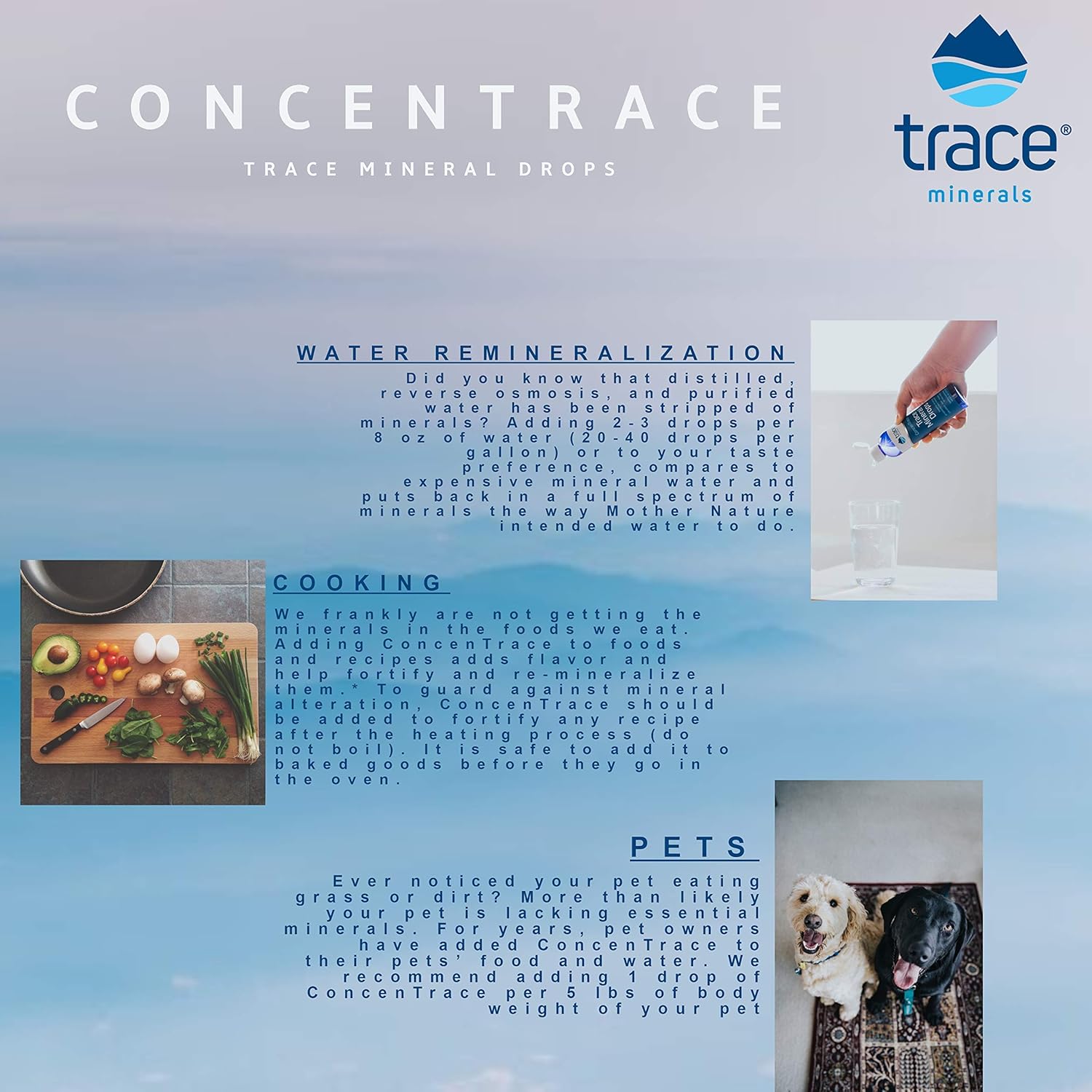 Trace Minerals Research - Concentrace Trace Mineral Drops - 8 Fl Oz (Pack of 1): Health & Personal Care