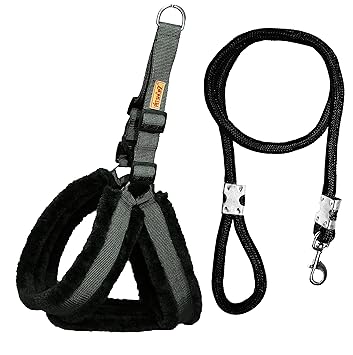 Petshop7 Qualtiy Fur Padded Nylon Dog Harness & Leash Rope 1inch - Large (Chest Size - 28-32inch)