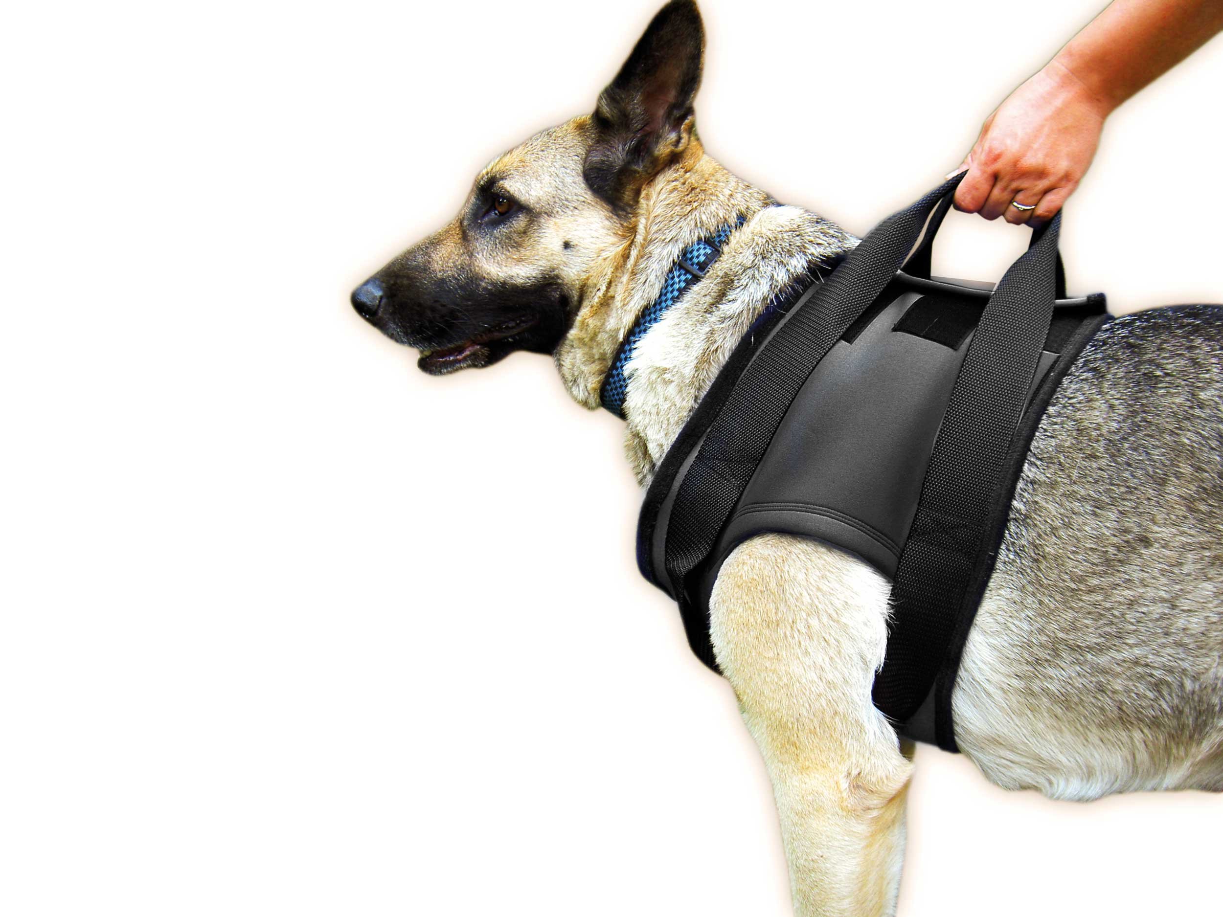 Julius-K9 Rehabilitation Harnesses - Front, Size: S, Chest circumference: 42-61 cm โ image 1