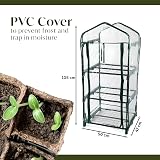 DIVCHI 3 Tier Greenhouse with Steel Frame Clear PVC Cover Indoors Outdoors view 4