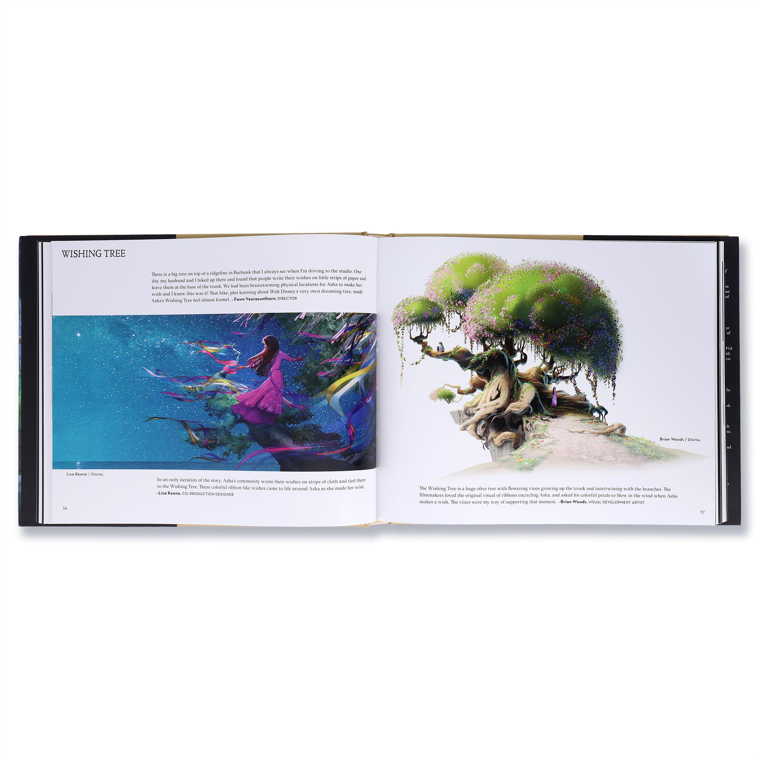The Art of Wish (Disney)