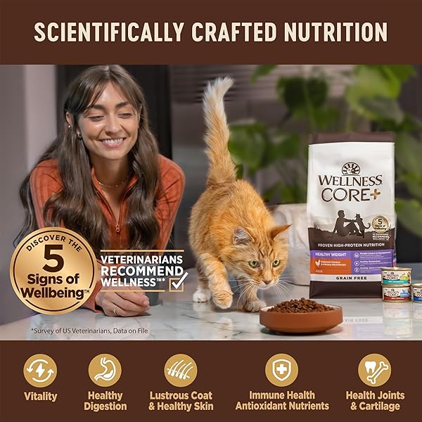 WELLNESS CORE+ HAIRBALL ADULT DRY CAT FOOD, NATURAL, GRAIN FREE KIBBLE, CHICKEN RECIPE, 4.75 LB BAG