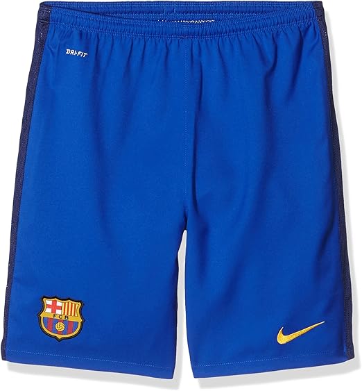nike fcb shorts