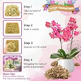 Riare Natural Sphagnum Moss 100g Long-Fibered Orchid Carnivorous Plants view 4