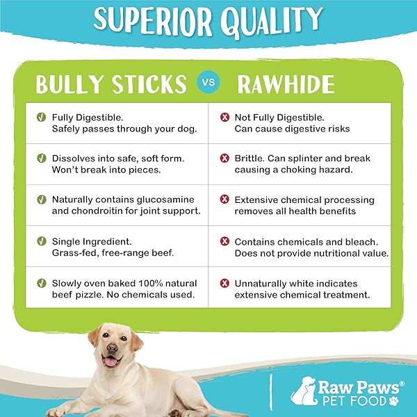RAW PAWS STANDARD BULLY STICKS FOR SMALL DOGS, 6″ (10 PACK) – LOW ODOR JUNIOR BULLY CHEWS – FREE-RANGE PIZZLE STICKS FOR DOGS – SINGLE INGREDIENT DOG CHEWS – RAWHIDE ALTERNATIVE – LONG LASTING