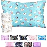 Miss Adola Silk Pillowcase for Kids - 30 x 20 Inches Queen Size Mulberry Silk Pillow Case with Zipper Cute Cartoon Kawaii Teens Girls Boys Pillowcase for Hair and Skin, Sleeping Animals