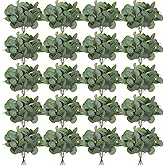 Giegxin 200 Pcs Artificial Eucalyptus Stems Leaves Bulk 11.8 Inches Tall Silver Dollar Eucalyptus Fake Greenery Stems Faux Plant for Floral Arrangement Vase Gray Green Leaves Decor Wedding