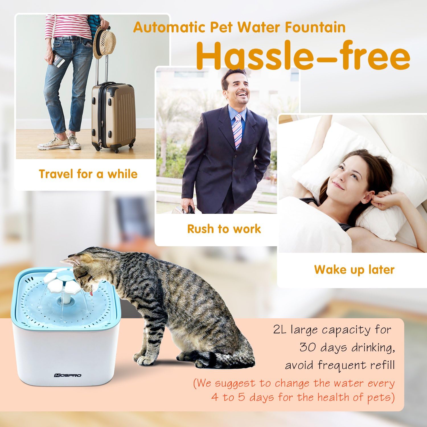 Pet Supplies : Pet Fountain Cat Water Dispenser - Healthy and Hygienic Drinking Fountain Super Quiet Flower Automatic Electric Water Bowl with 2 Replacement Filters for Dogs, Cats, Birds and Small Animals Blue : 