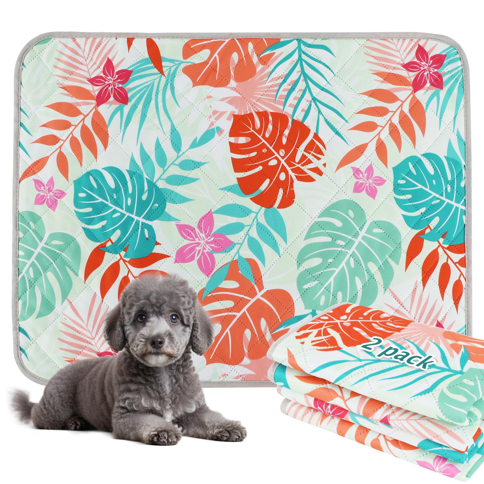 BVAGSS Washable Pee Pads - 2 Pack Reusable Leakproof Dog Training Pads, Non-Slip Waterproof, Super Absorbent (60x60cm, Green Palm Leaves)