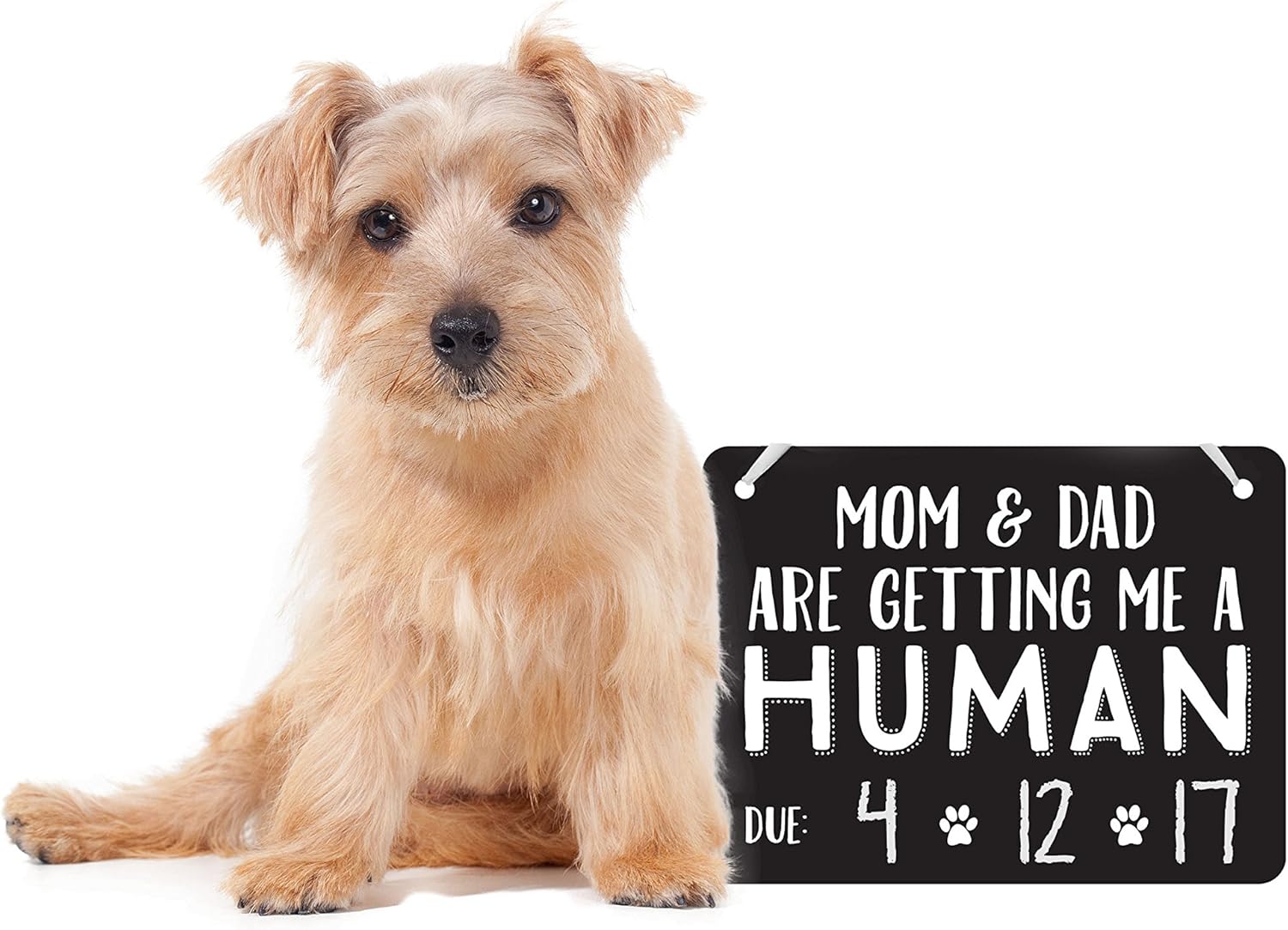 dog birth announcement