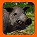 Boar Hunter 2014