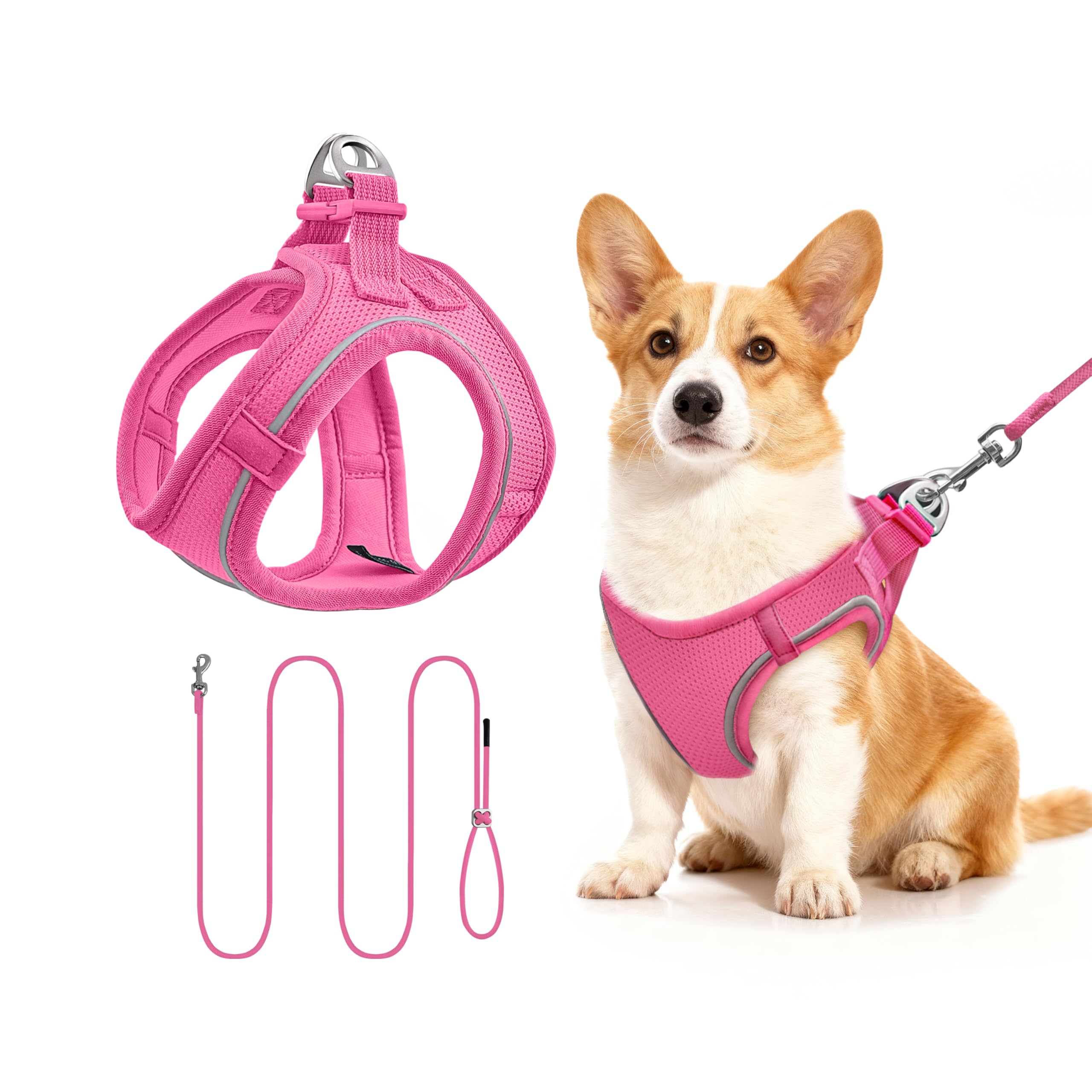 Qianruida Roseo M Cat Harness and Lead, Adjustable Soft Breathable Mesh Kitten Harness and Leash for Small Cats and Dogs Walking, Running, Training