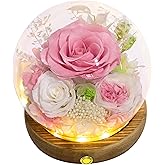 Valley of Rain & Forest Long-Lasting Real Flowers, Unique Floral Gift For you to send Love for All Occasions, for Indoor Decoration (Pink Rose & White Roses Arrangement)
