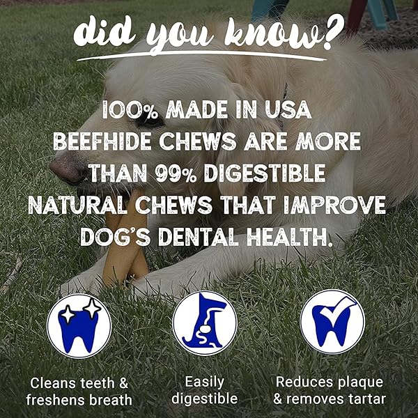 PET FACTORY 100% MADE IN USA BEEFHIDE 7″ BRAIDED STICKS DOG CHEW TREATS – PEANUT BUTTER FLAVOR, 6 COUNT/1 PACK