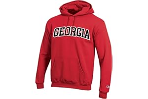 Champion Men's Eco Powerblend Hooded Sweat Shirt