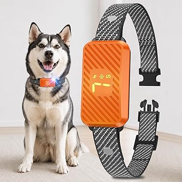 best fitness vibration machine The Best Vibrating Dog Collars: Reviewed and Ranked main image 1