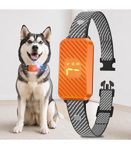 vibration bark collar amazon 12 Best Water-Based Lubes, According to Sex Experts main image 0