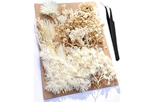 AHTONG Real Dried Leaf Flowers Plant Herbarium for Resin Molds Craft Jewelry Making (Dried White)