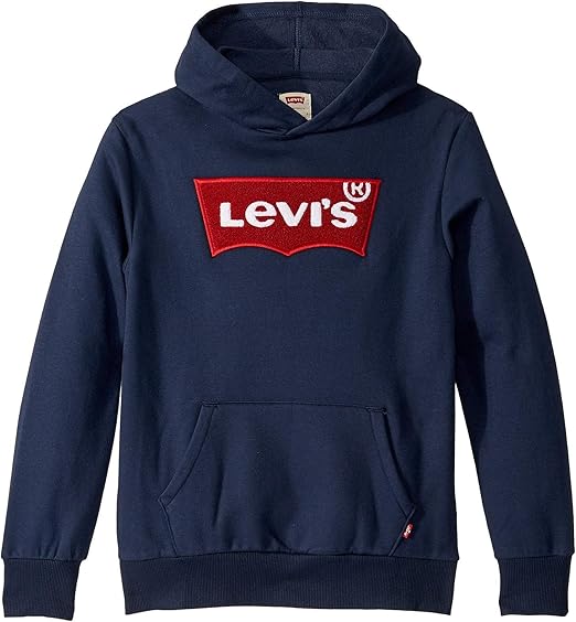 kids levis hoodie