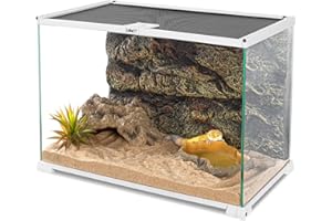 OIIBO 15 Gallon Glass Reptile Terrarium Tank, 20" X 12" X 14" Medium Reptile Terrarium with Sliding Screen Top for Gecko, Hermit Crab, Snake Reptiles and Small Animals