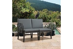 DOMI OUTDOOR LIVING Domi Loveseat Patio Sofa with Removable Gray Cushions, All-Weather Modern Metal Plastic Dining Chairs Patio Furniture for Balcony, Porch, Lawn and More
