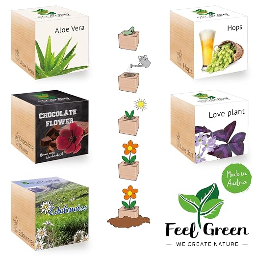 FeelGreen Ecocube - Juego Especial de 5 Paquetes Variados para ...