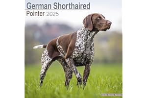 German ShortHair Pointer Calendar 2025 | Square Dog Breed Wall Calendar - 16 Month