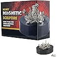The Dreidel Company Magnetic Sculpture Building Blocks, Create Your Own Masterpiece, Development and Stress Relief, 3.5" Inch (Money)