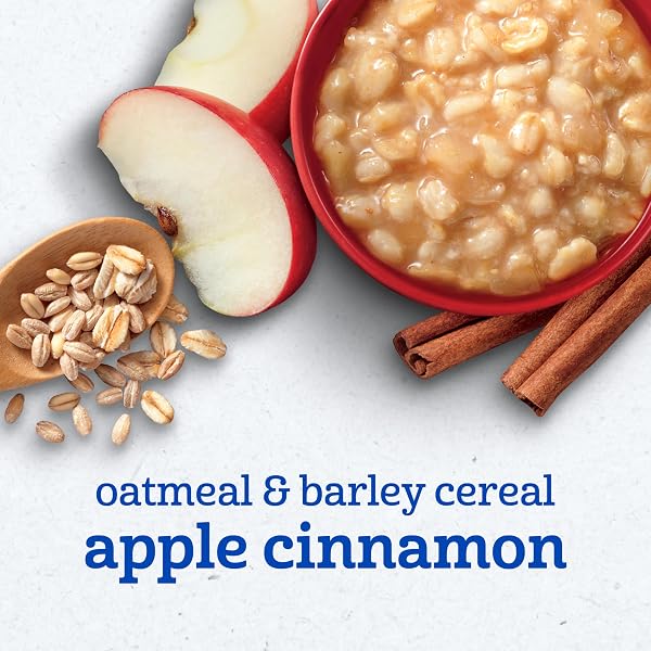 GERBER OATMEAL AND BARLEY APPLE CINNAMON CEREAL, TODDLER OATMEAL, IRON, WHOLE GRAINS, 8PK