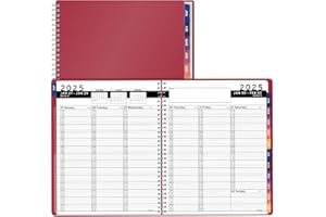 2025 Appointment Book & Planner- Ensight 8.5 x 11 inches, Large Tabbed Daily Hourly Weekly Planner, Calendar & Schedule Book 15-Minute time Slots, Business & Personal Planner Jan 2025- Dec 2025- Maroon