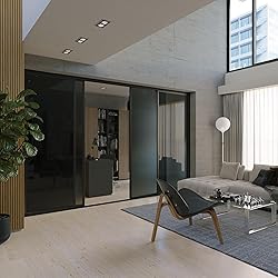 Doors 55 Glass Room Divider Panel and Partition