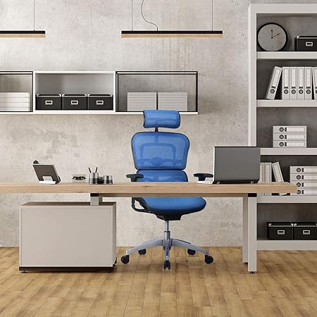 Hjh Office 652427 Profi Chefsessel Ergohuman Edition Netzstoff Blau Burostuhl Drehstuhl Ergonomisch Mit Vollausstattung Amazon De Kuche Haushalt