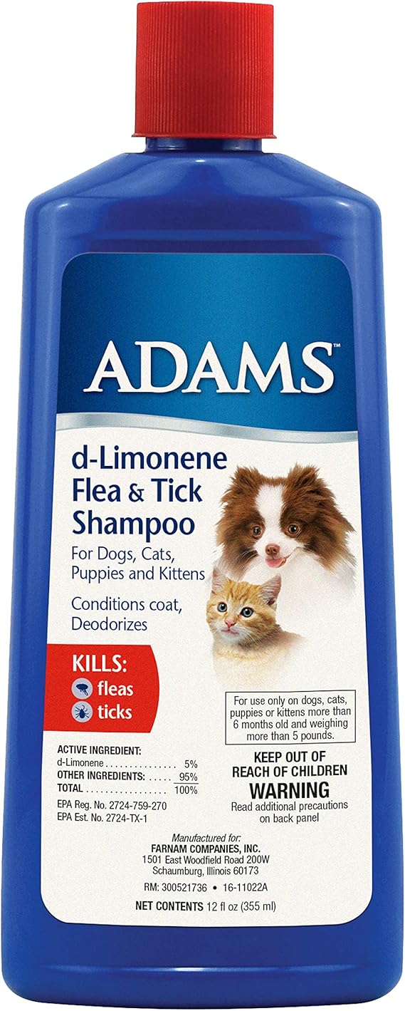 flea shampoo in dog's eye