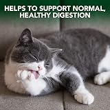 Vet's Best Cat Hairball Relief Digestive Gel 100g view 2